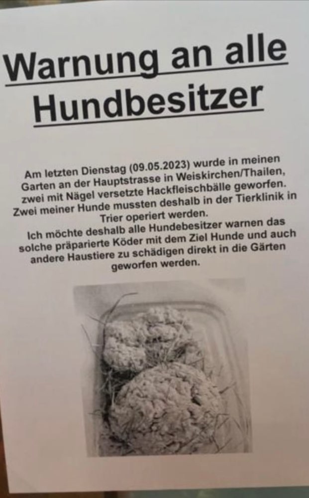 Giftköder-Fleischbällchen mit Nägeln-Profilbild