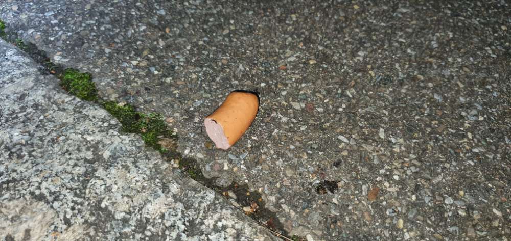 Giftköder-Wurststückchen auf dem Gehweg-Profilbild