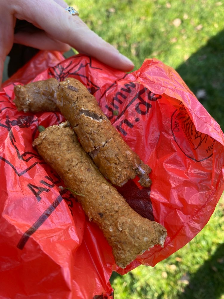 Giftköder-Giftköder evtl. mit Drahtstrang innen.-Profilbild