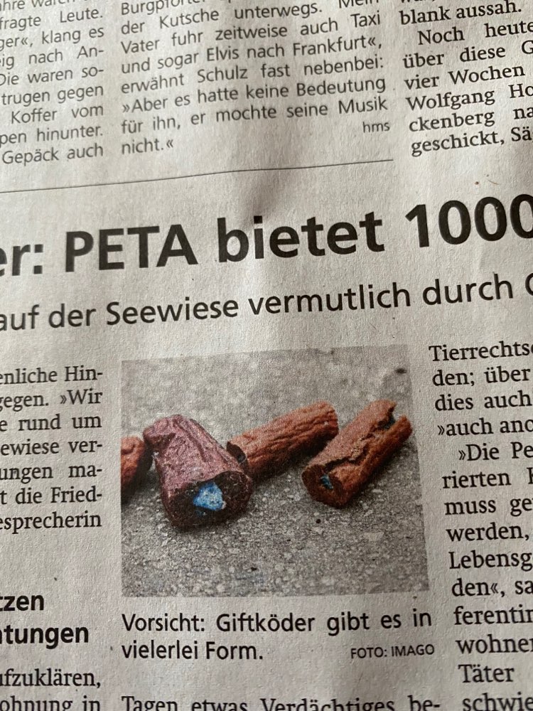 Giftköder-Giftköder-Profilbild