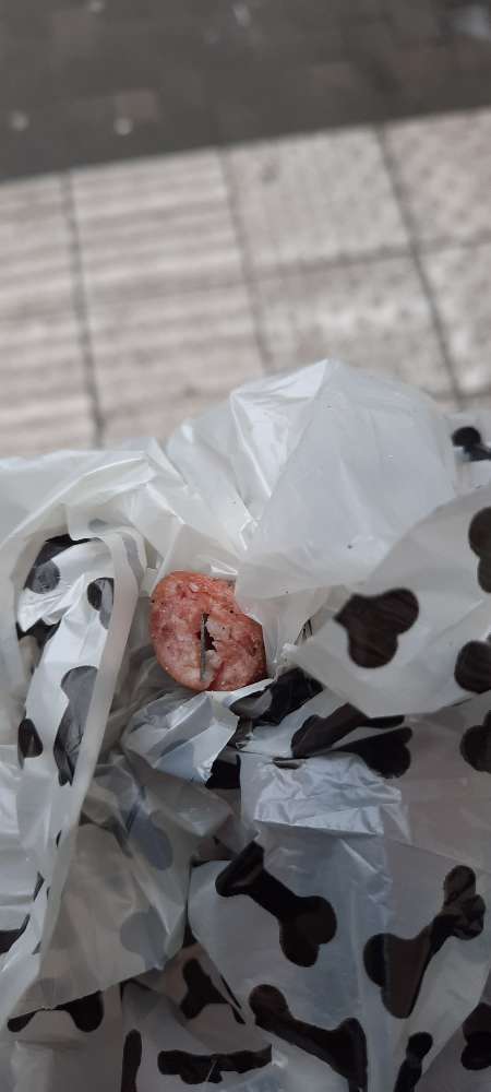 Giftköder-Rasierklingen in Wurst-Profilbild