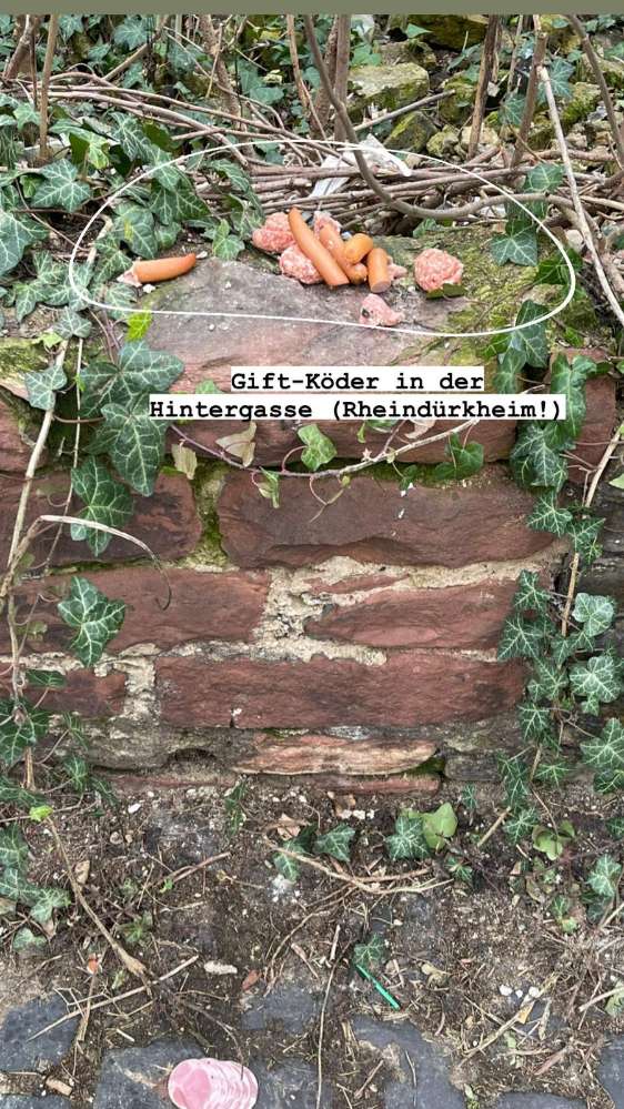 Giftköder-Fleisch und Wurst-Profilbild