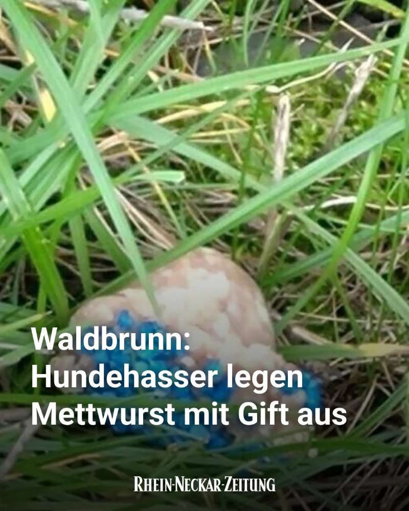 Giftköder-Mehrere Giftköder ausgelegt-Profilbild