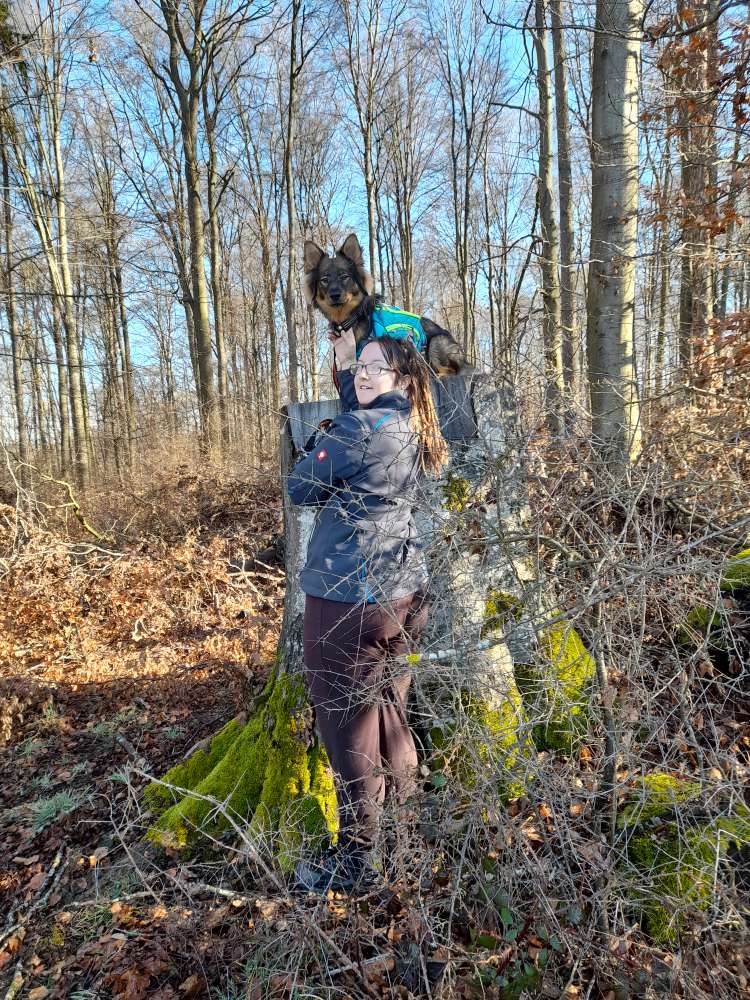 Hundetreffen-Spiel und Gassi treffen-Profilbild