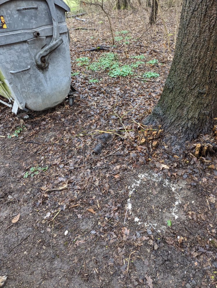 Giftköder-Kalscheurener Weier / weißes Pulver-Profilbild