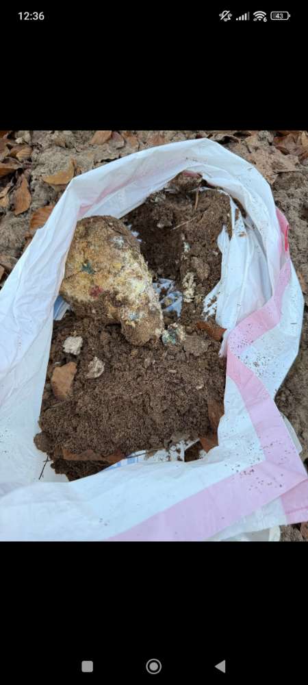 Giftköder-Giftköder-Profilbild