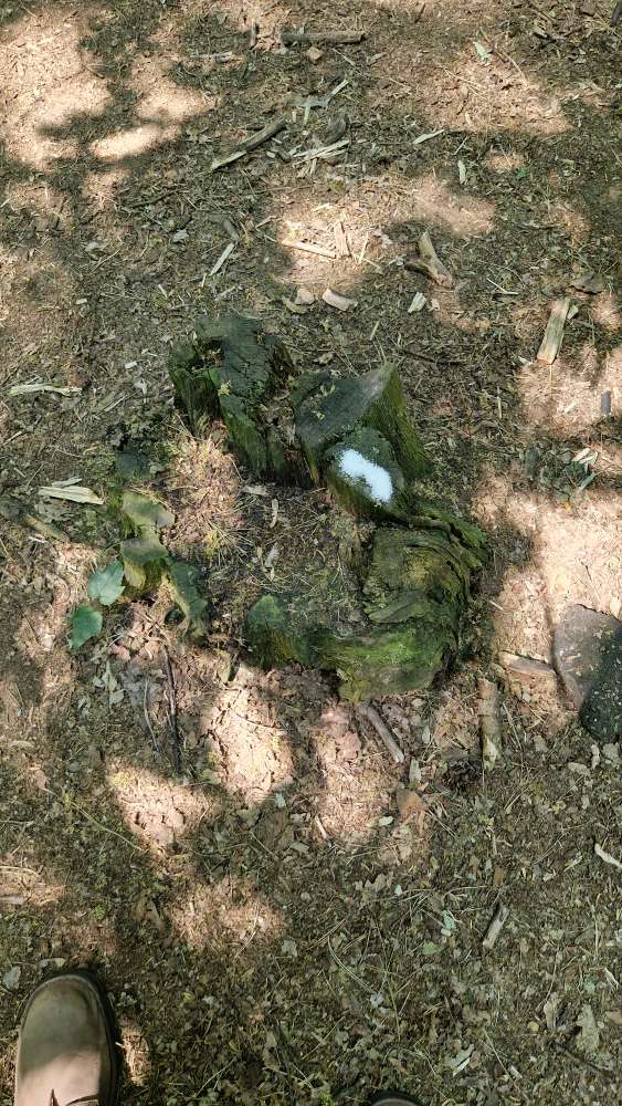 Giftköder-Weisses Pulver-Profilbild