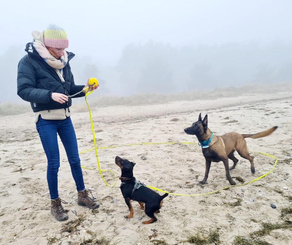 Hundetreffen-Leinentraining und Spaziergang zugleich-Profilbild