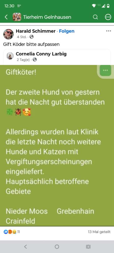 Giftköder-Giftköder-Profilbild