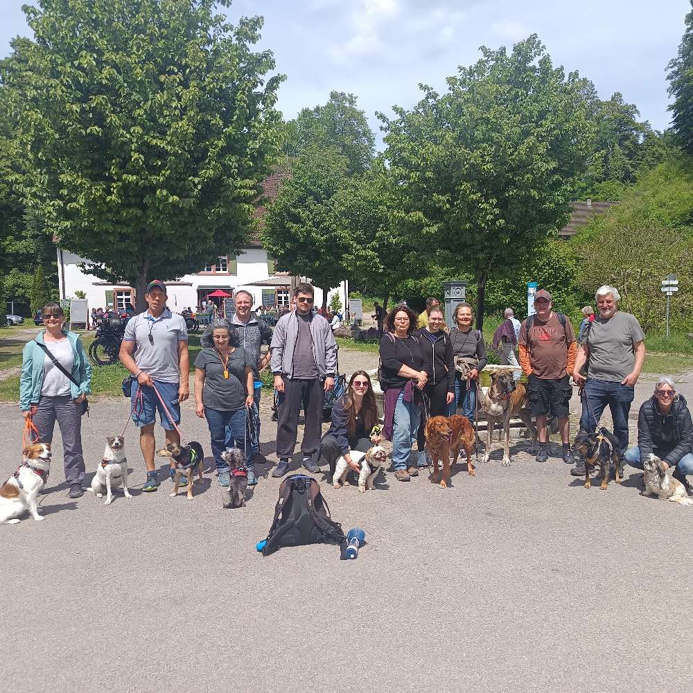 Hundetreffen-Gassirunde-Profilbild