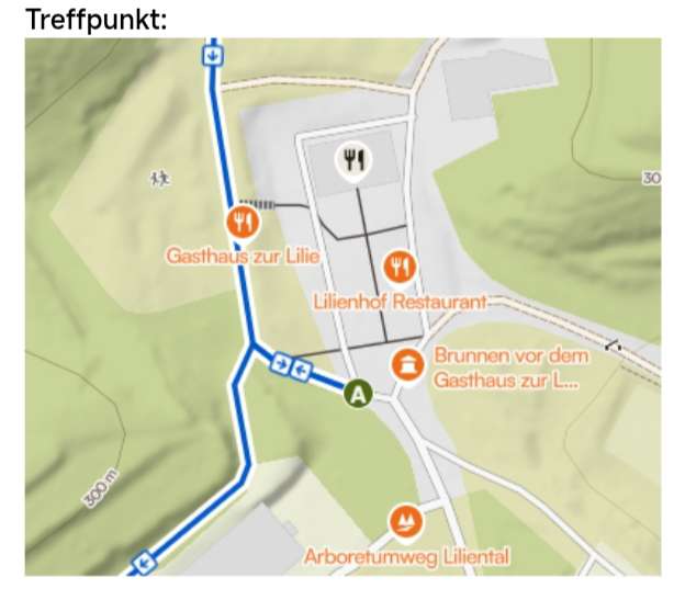 Hundetreffen-Hundewanderung-Profilbild