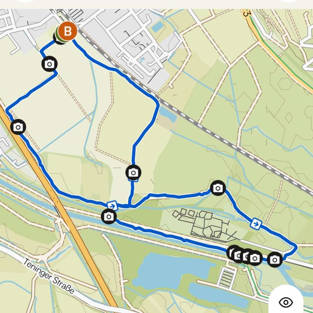 Hundetreffen-Hundespaziergang-Profilbild