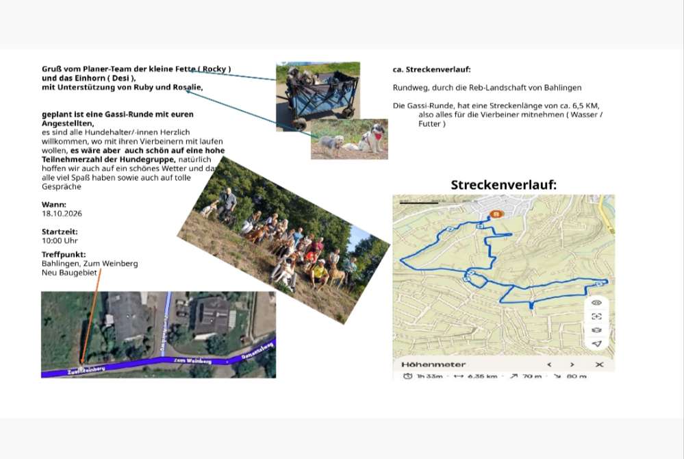 Hundetreffen-Gassirunde in Bahlingen-Profilbild