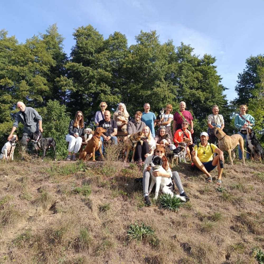 Hundetreffen-Gassirunde-Profilbild