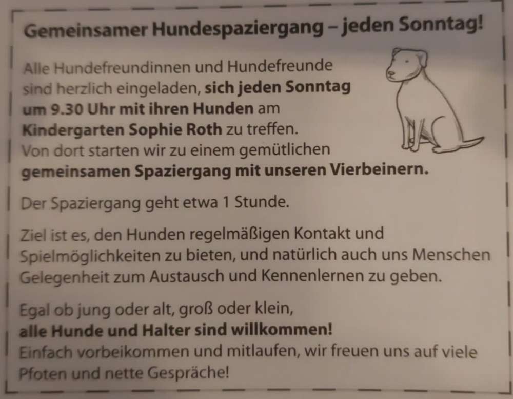 Hundetreffen-Hundespaziergang-Profilbild