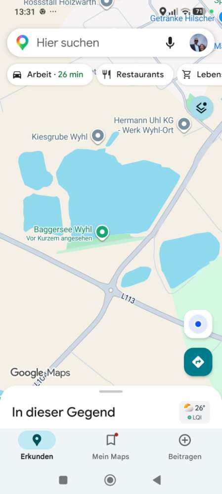 Hundetreffen-Abendliche Gassirunde-Profilbild