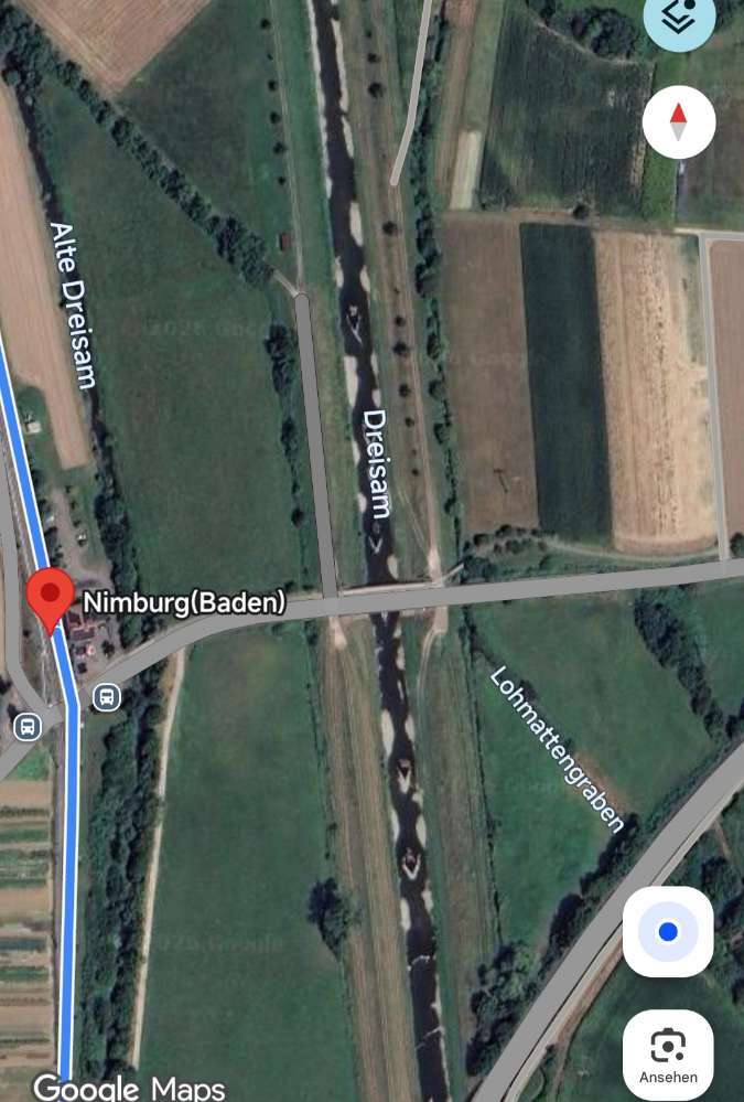 Hundetreffen-Gassirunde-Profilbild