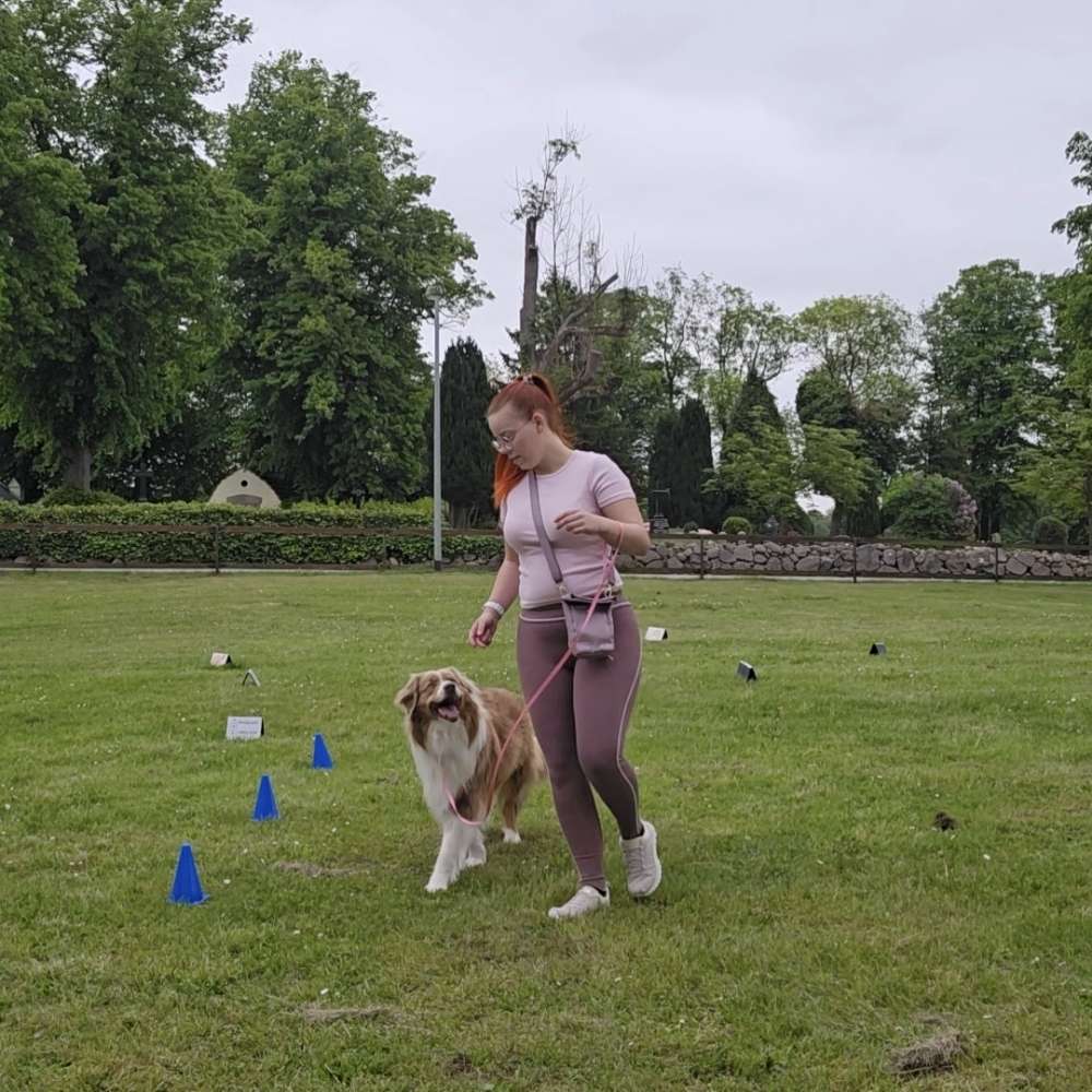 Hundetreffen-Rally Obedience-Profilbild