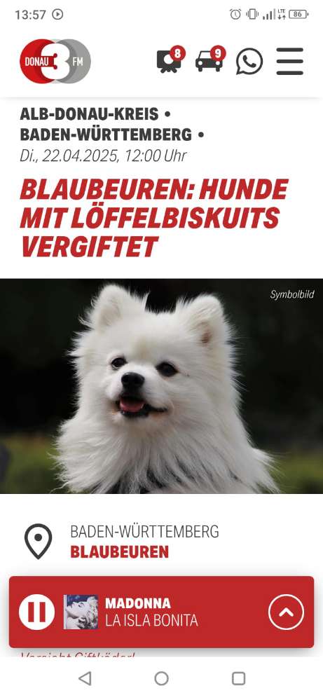 Giftköder-Giftköder-Profilbild