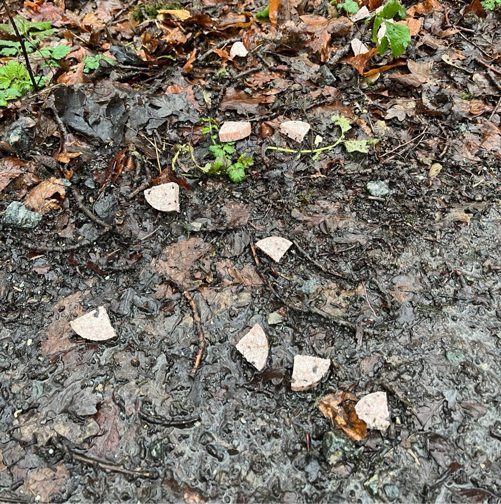Giftköder-Wurststücke am Wegrand-Profilbild