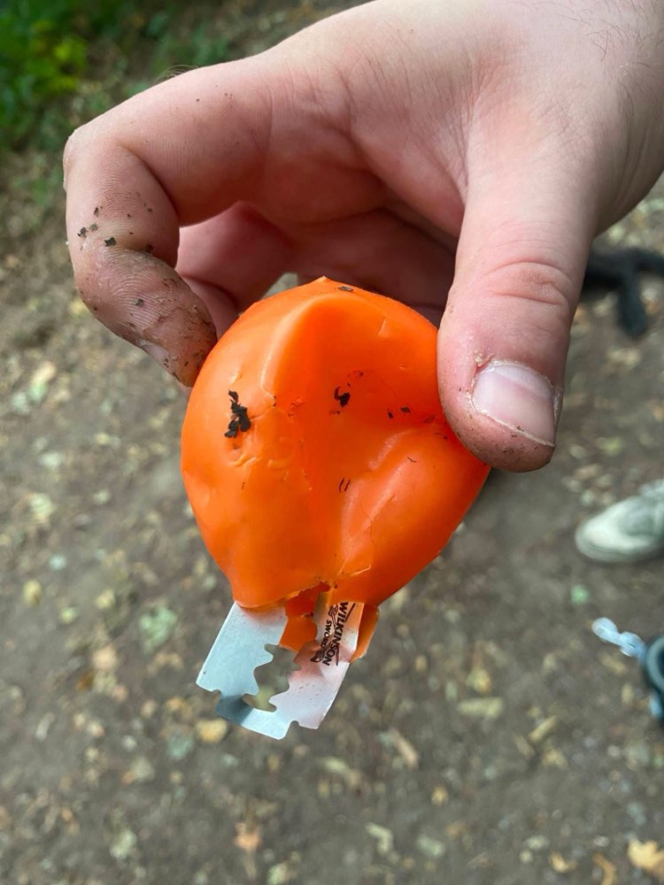 Giftköder-Rasierklinge im Wald-Profilbild