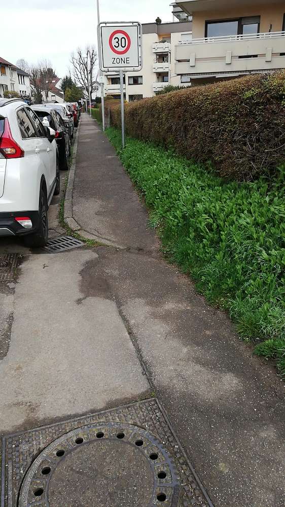 Giftköder-Blaukorn-Profilbild