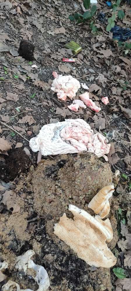 Giftköder-Verdächtiges Essen/ Fleisch/Haut/Knochen-Profilbild