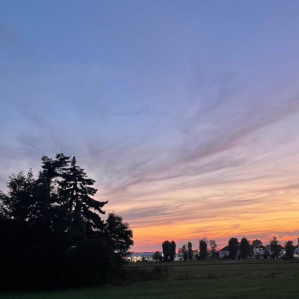 Hundetreffen-Social Walk-Profilbild