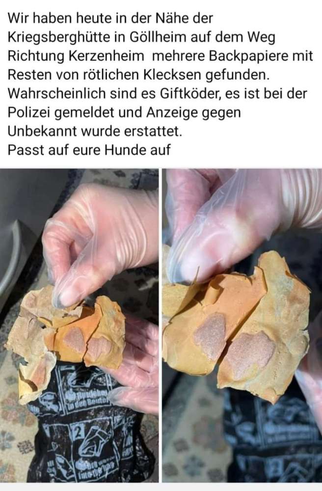 Giftköder-Evtl. Giftköder-Profilbild