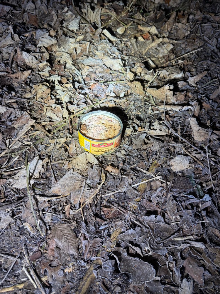 Giftköder-Evtl. Giftköder am Baldeneysee?-Profilbild