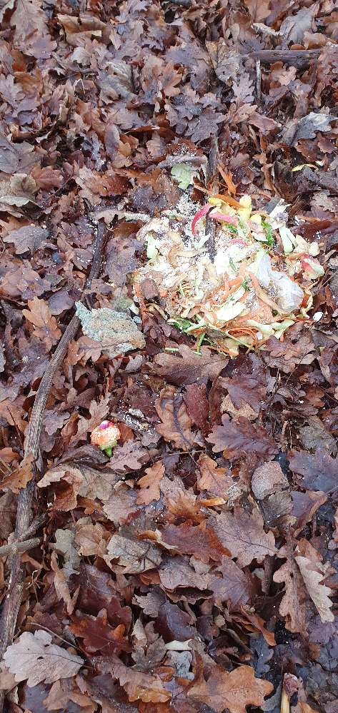 Giftköder-Küchenanfälle-Profilbild