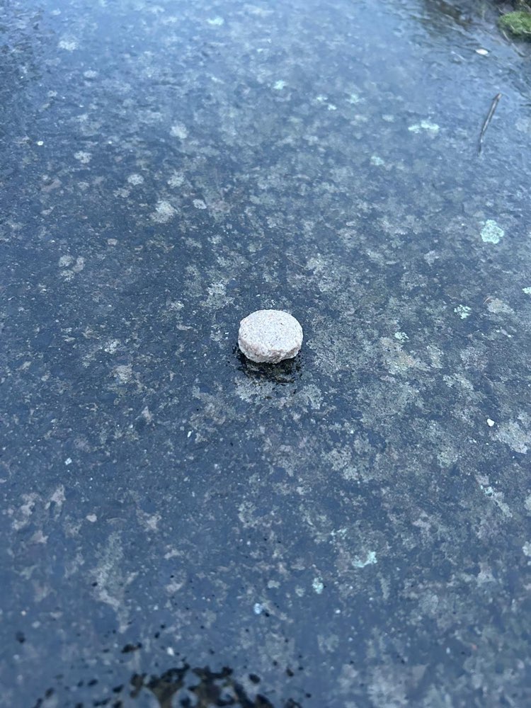 Giftköder-Eventuelle Giftköder-Profilbild