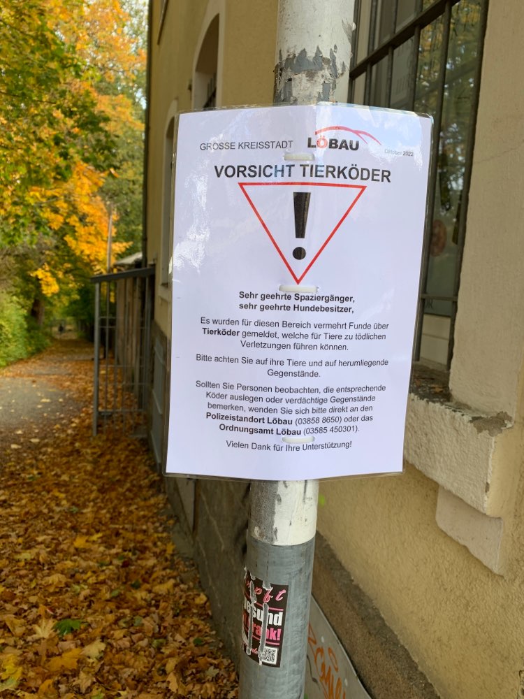 Giftköder-Giftköder-Profilbild