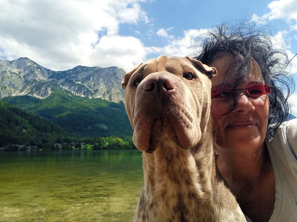 Hundetreffen-Gemeinsame Spaziergänge in oder Nähe Andorf!-Profilbild