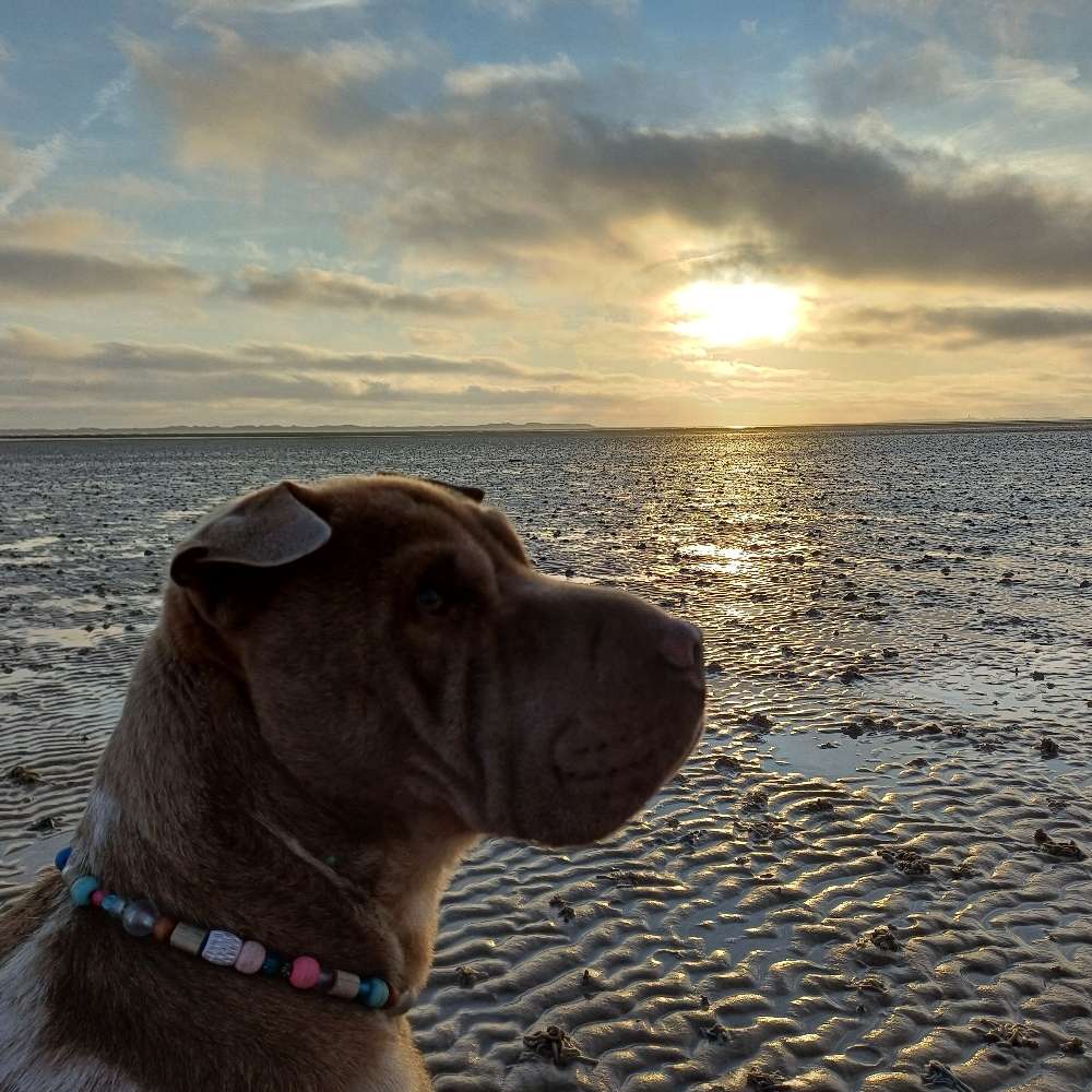 134. Video Wettbewerb Banner