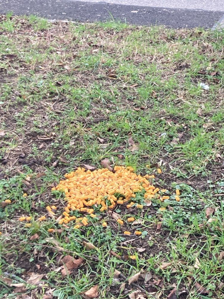 Giftköder-Verstreutes Futter-Profilbild