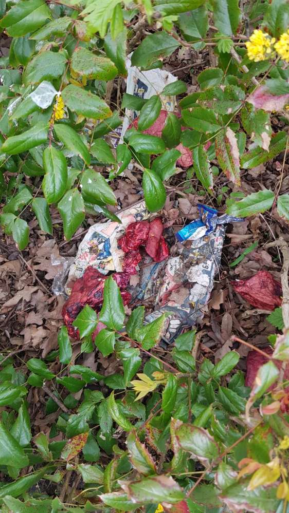 Giftköder-Wahrscheinlich Giftköder-Profilbild
