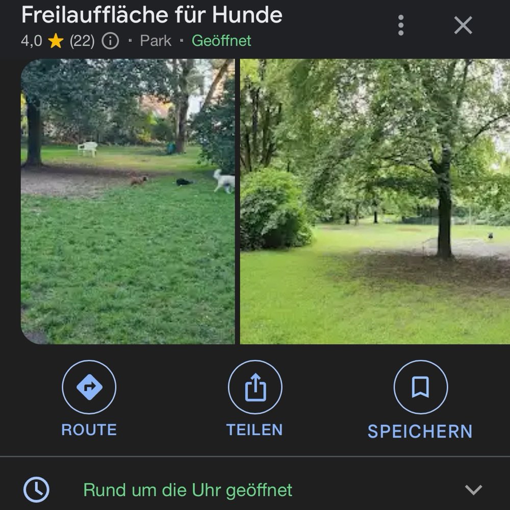 Hundetreffen-Vom Welpe bis zum Senior ist jeder willkommen-Profilbild