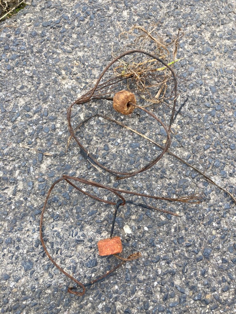 Giftköder-Leckerchen auf Draht in Friesheim-Profilbild