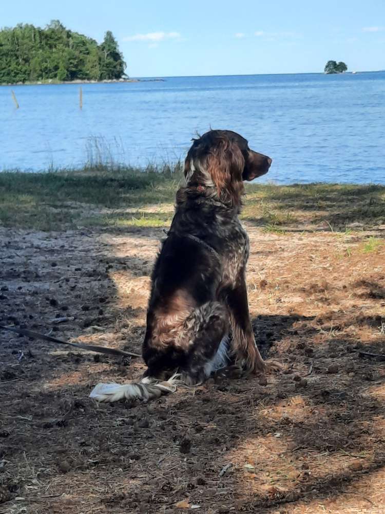 Suchmeldung-Bexter-Profilbild