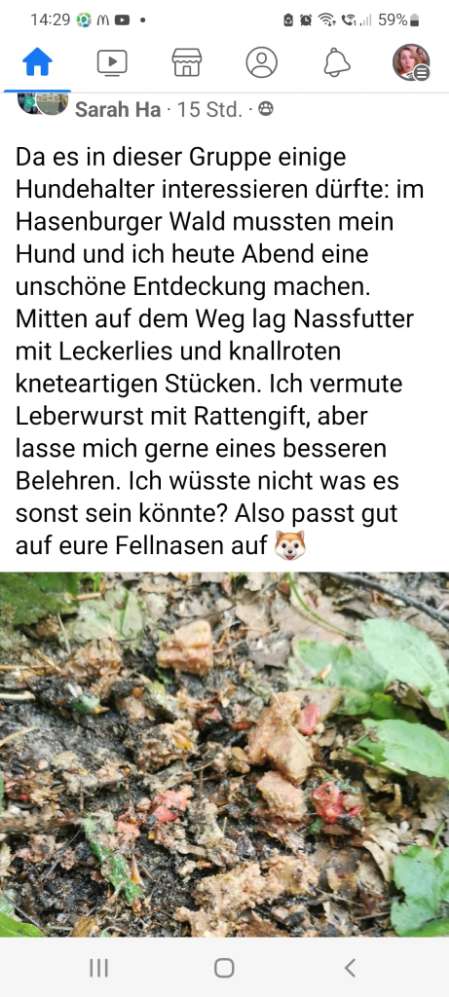 Giftköder-Gift-Profilbild