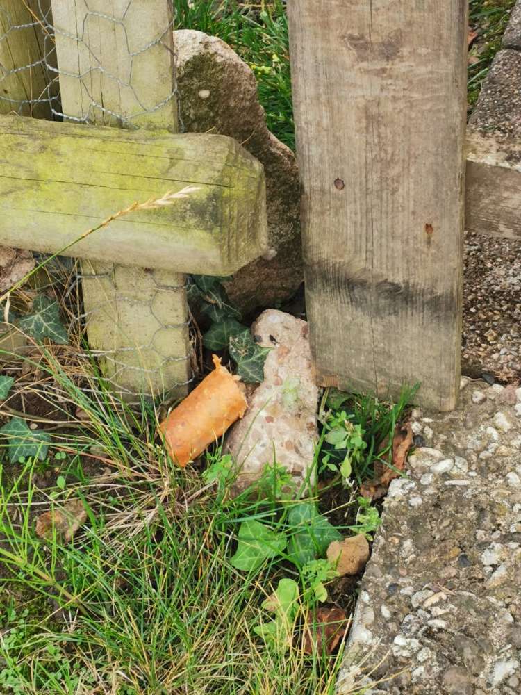 Giftköder-Giftköder-Profilbild