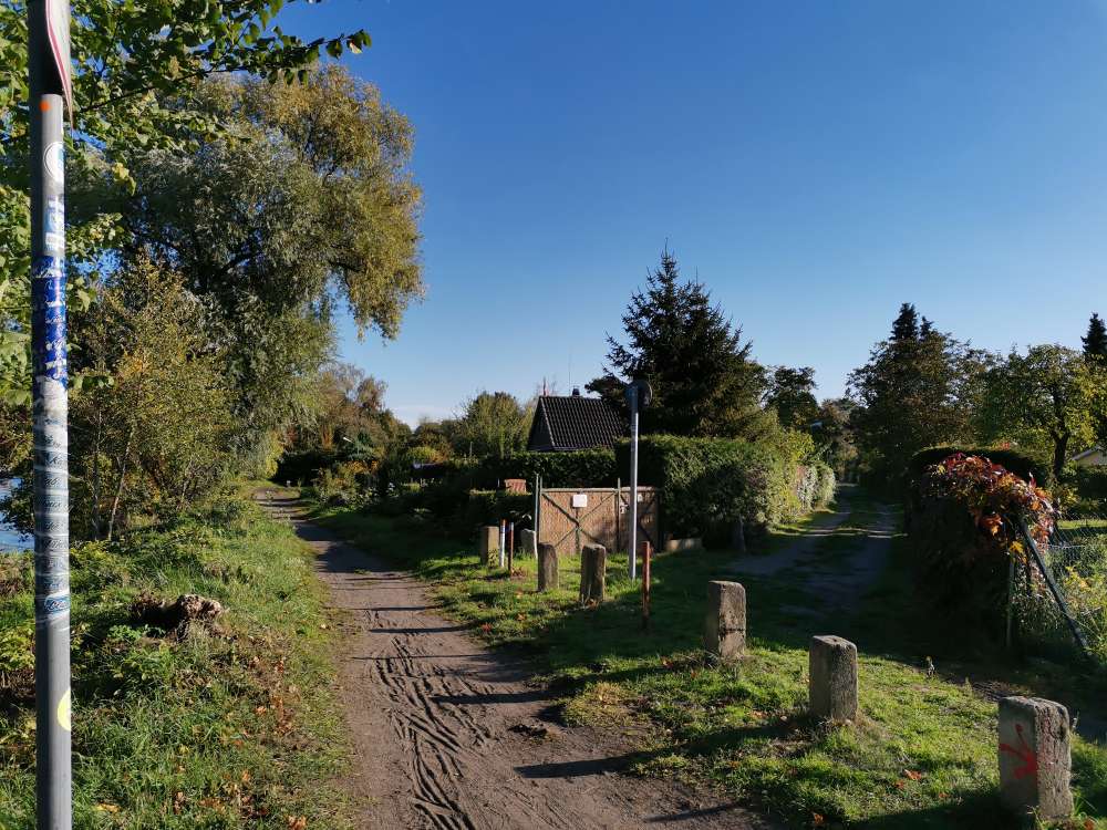 Giftköder-Ausgelegtes Hundefutter-Profilbild