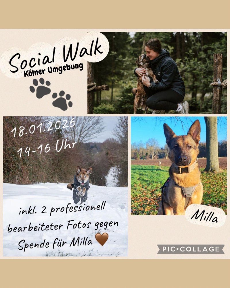 Hundetreffen-Spenden-Social-Foto-Walk für Hündin Milla-Profilbild