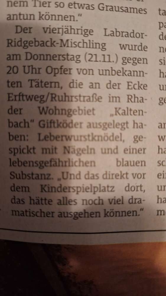 Giftköder-Giftköder-Profilbild