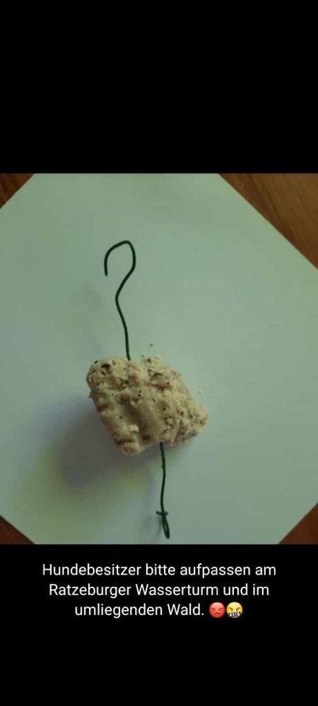 Giftköder-Giftköder Nähe des Wasserturms und Wald-Profilbild