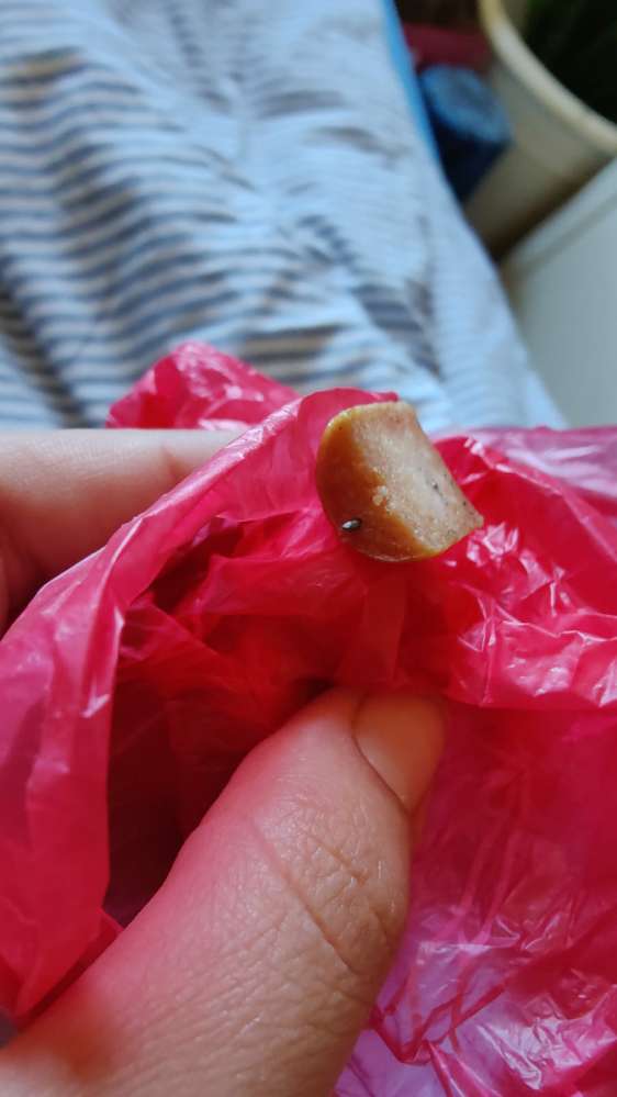 Giftköder-Wurst mit Nägeln-Profilbild