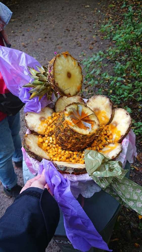 Giftköder-Giftköder-Profilbild