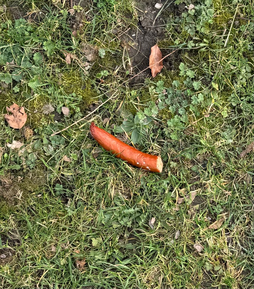 Giftköder-Verdacht auf Giftköder-Profilbild