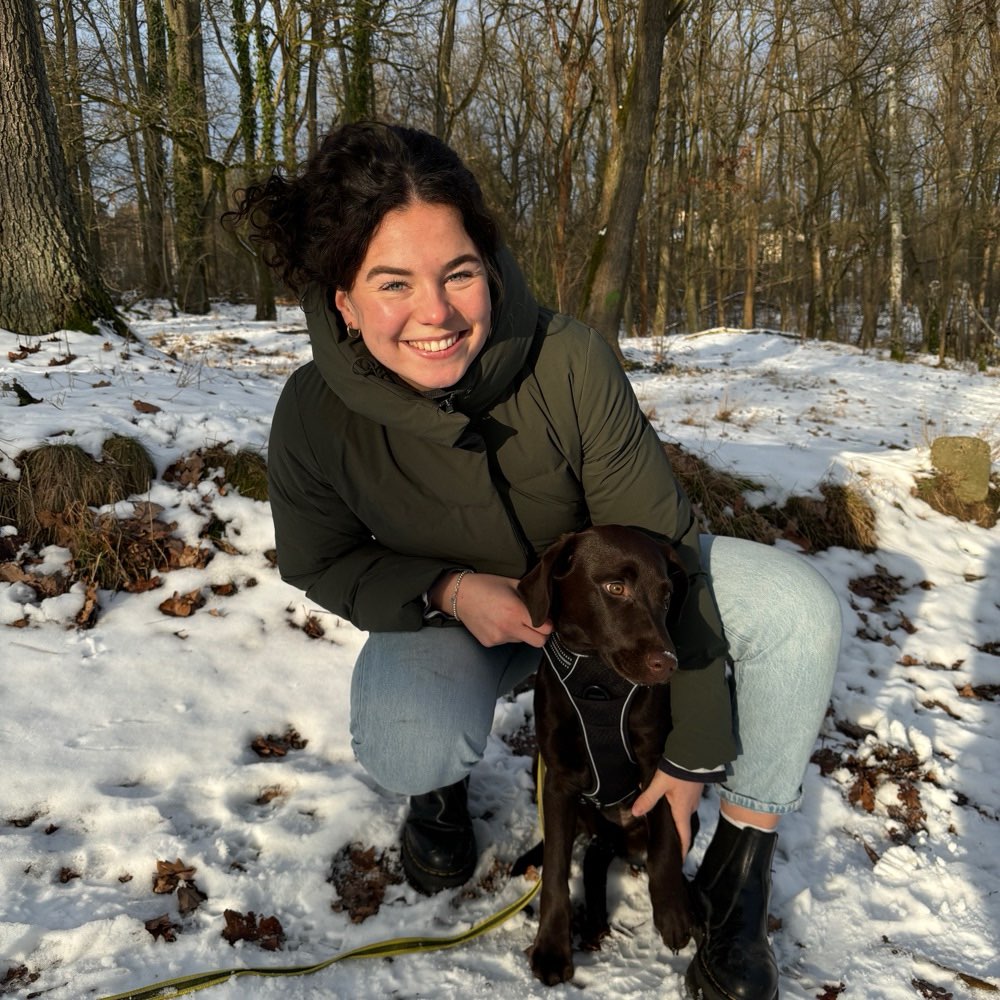 Hundetreffen-Hundetreffen-Profilbild